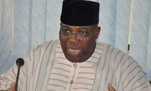 For Sending In $35bn, Doyin Okupe Calls Nigerians In Diaspora HEROS, GREATEST STAKEHOLDERS